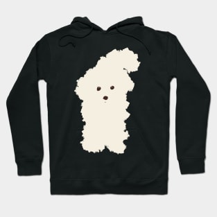 Maltipoo Dog Hoodie